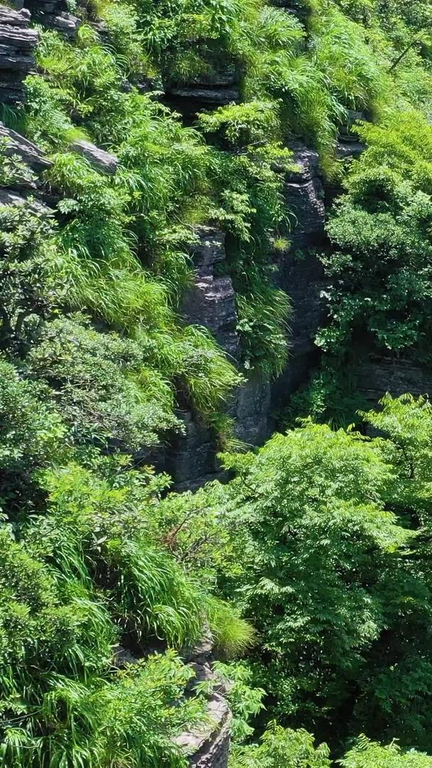 近距离航拍可以看到山壁穿越峡谷的美丽自然风光视频的预览图