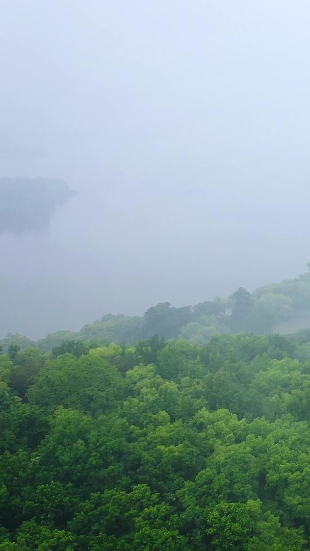多角度航拍杭州著名旅游景点烟雨雷峰塔视频的预览图