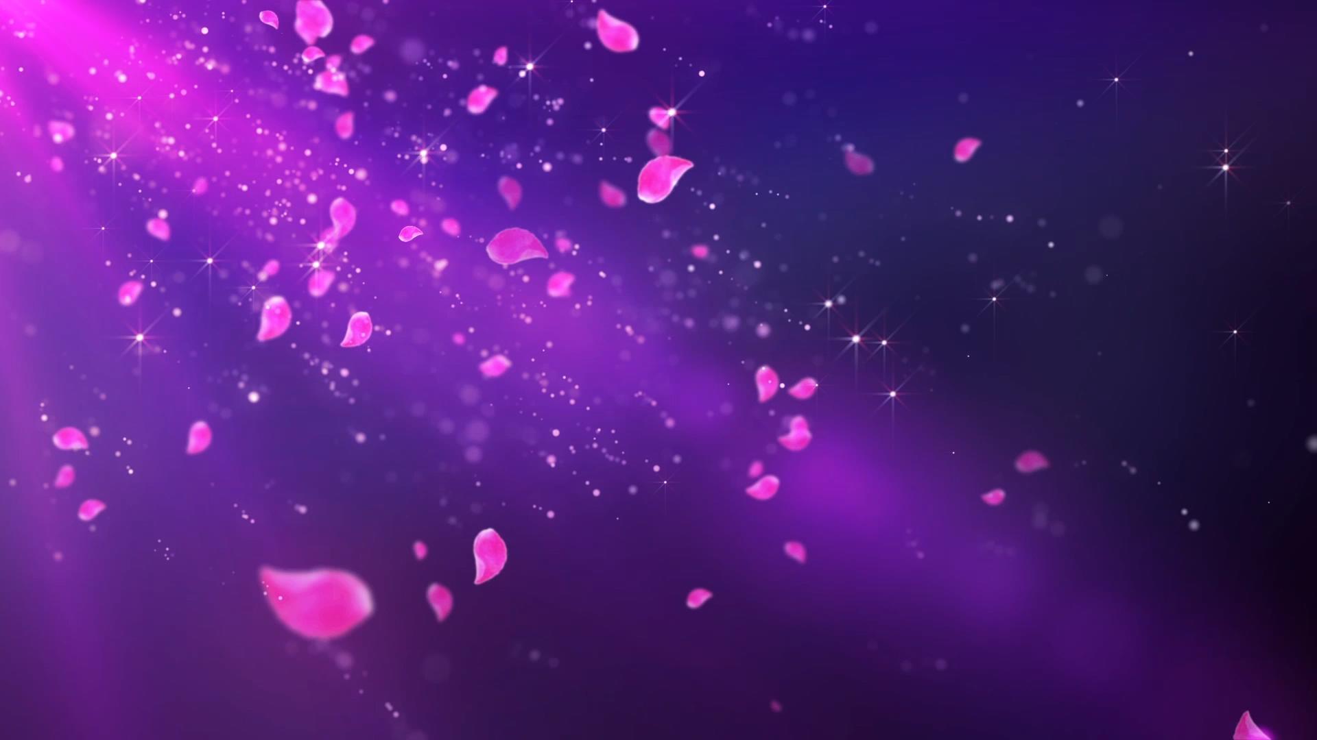 唯美花瓣粒子飘落背景视频的预览图