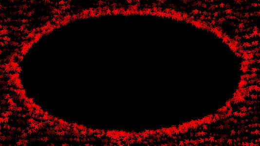 红色枫叶粒子边框修饰动画视频的预览图