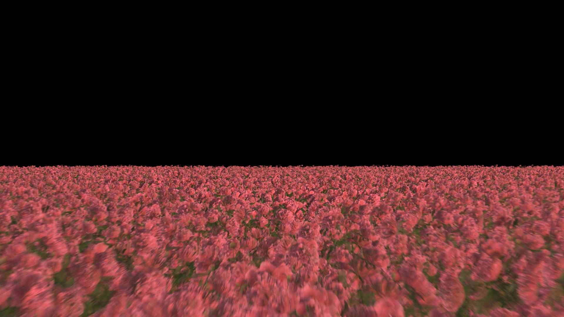 透明通道牡丹花草穿梭视频素材视频的预览图