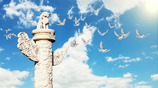鸽子飞过祖国山河视频素材视频的预览图