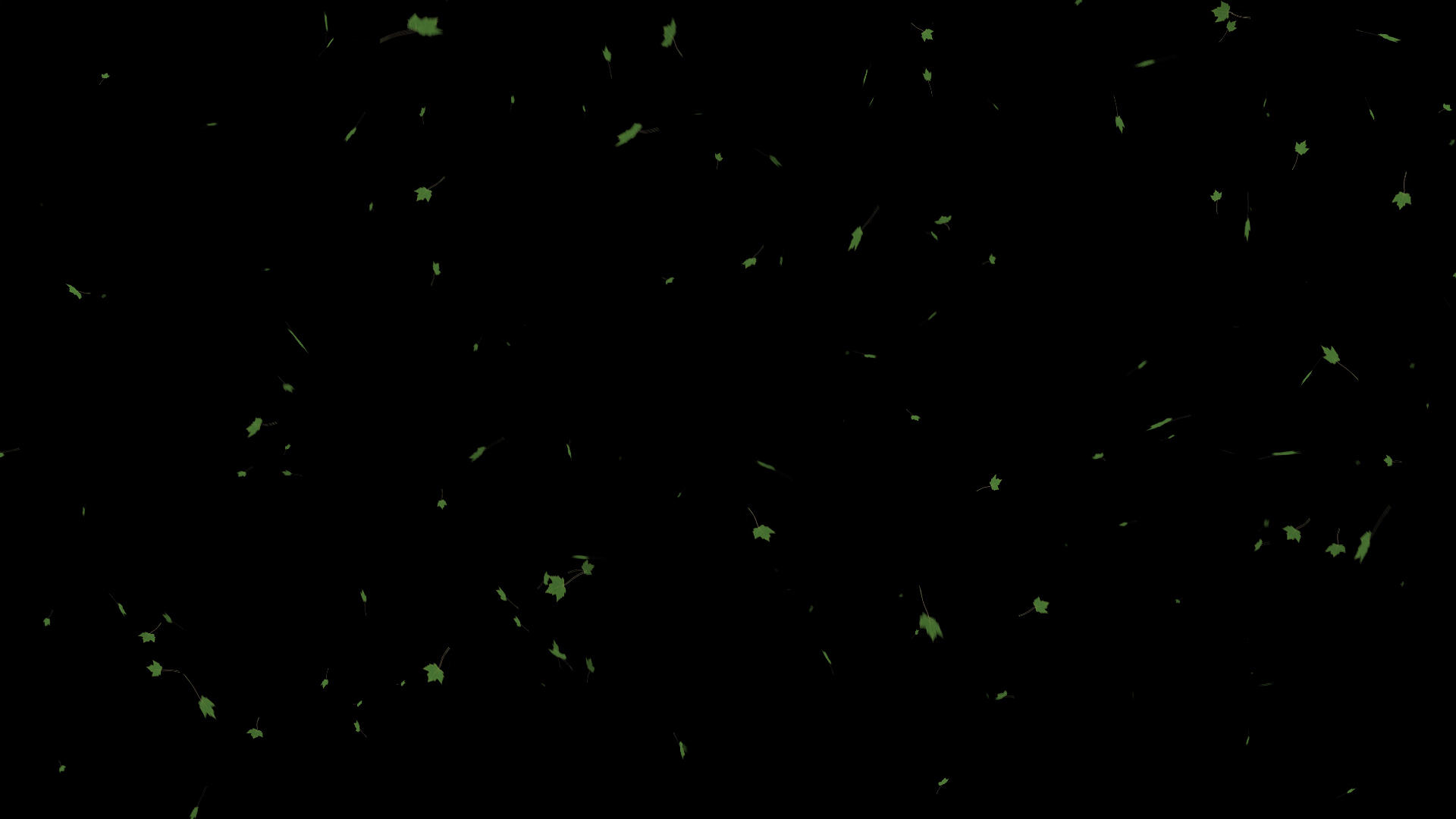 飘舞的树叶粒子修饰动画视频的预览图