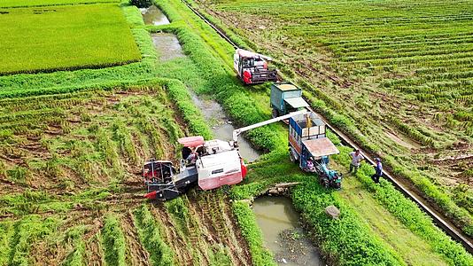 收割水稻的大型农作机器视频的预览图