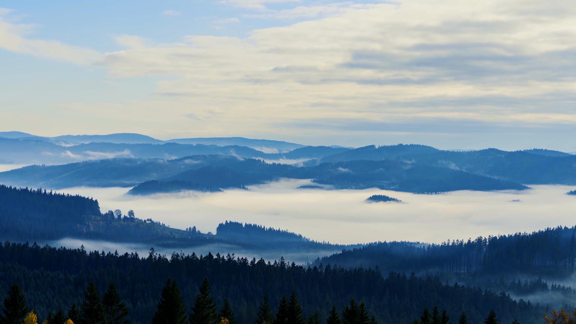 8K森林云海云雾缭绕延时视频的预览图