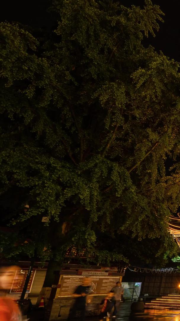 全国风景名胜区都江堰南桥夜景视频的预览图