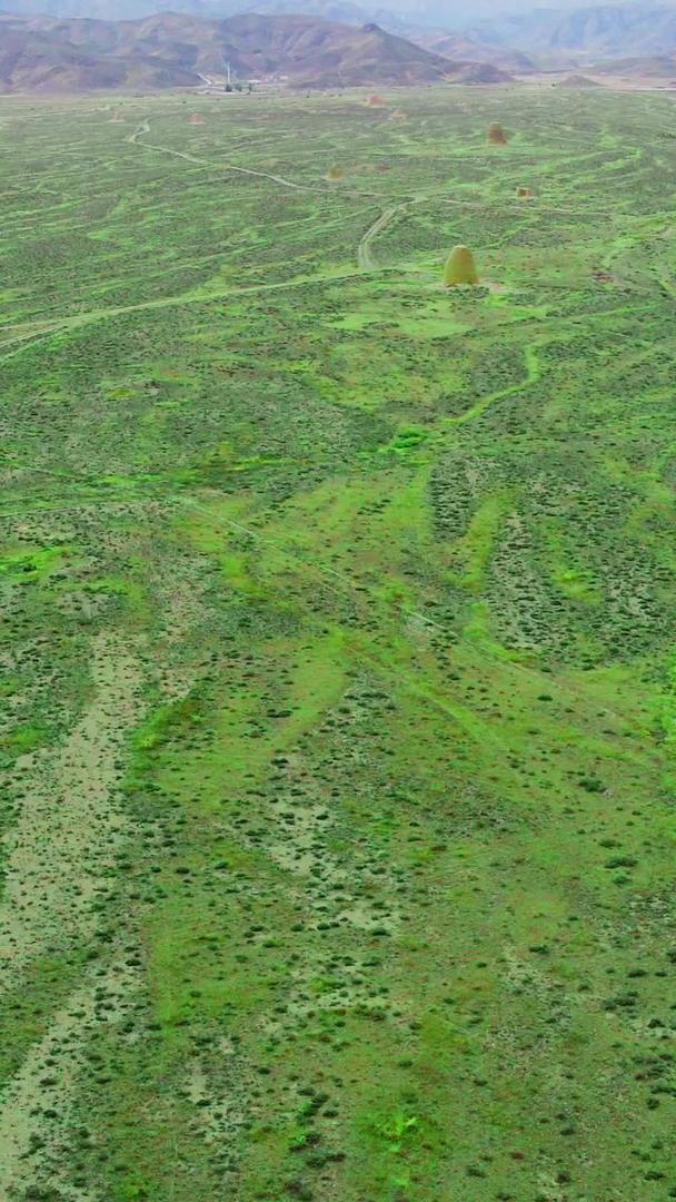 宁夏银川贺兰山下的航拍草原美景视频的预览图