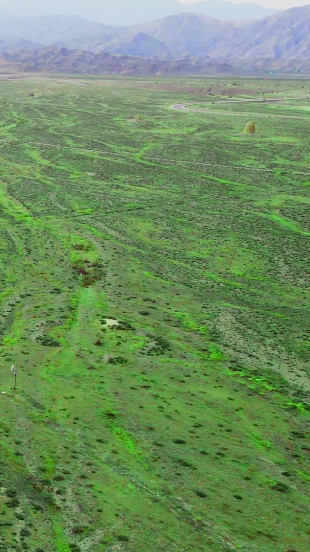 宁夏银川贺兰山下的航拍草原美景视频的预览图