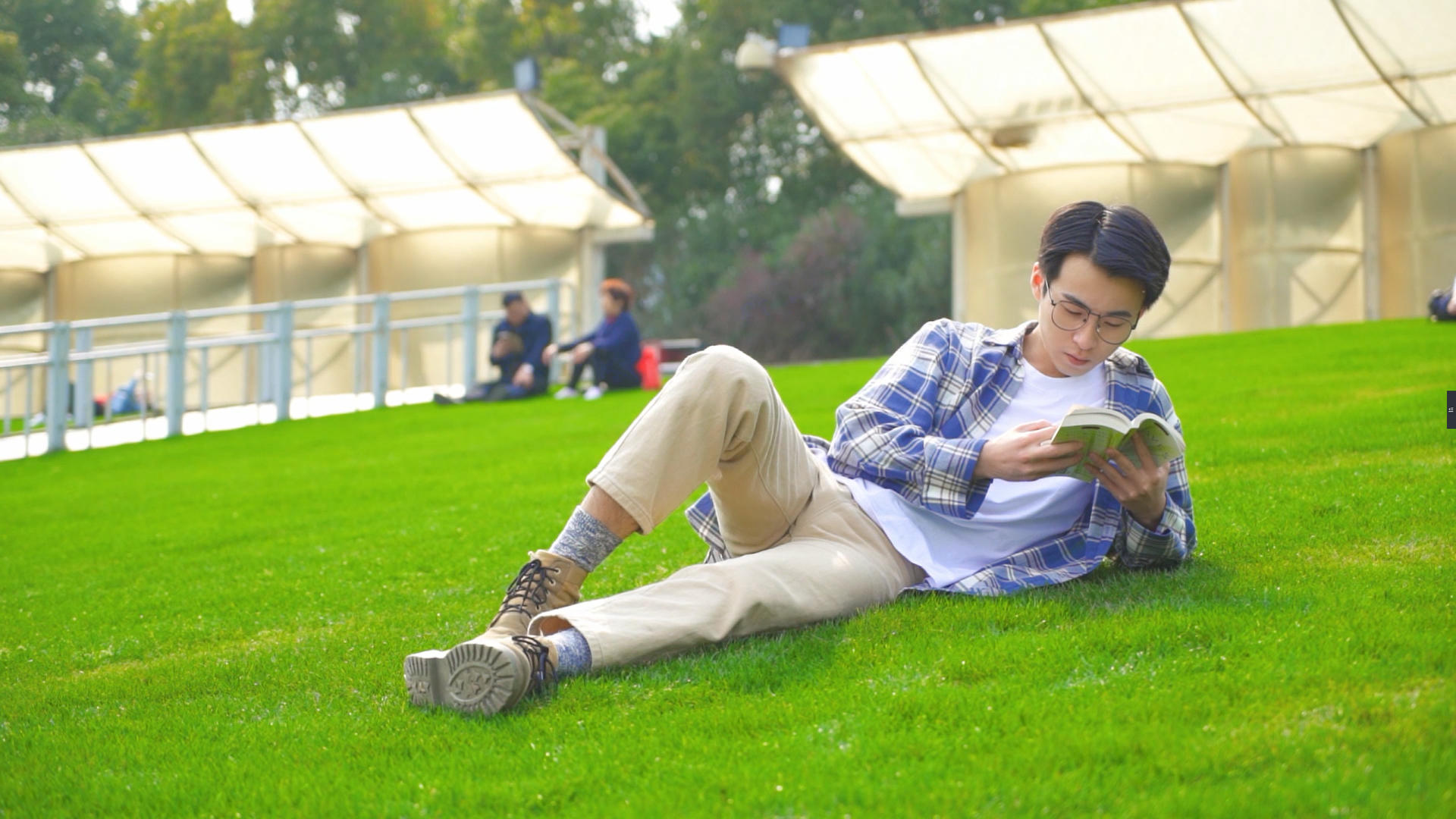 穿格子衫的男生在草地看书视频的预览图