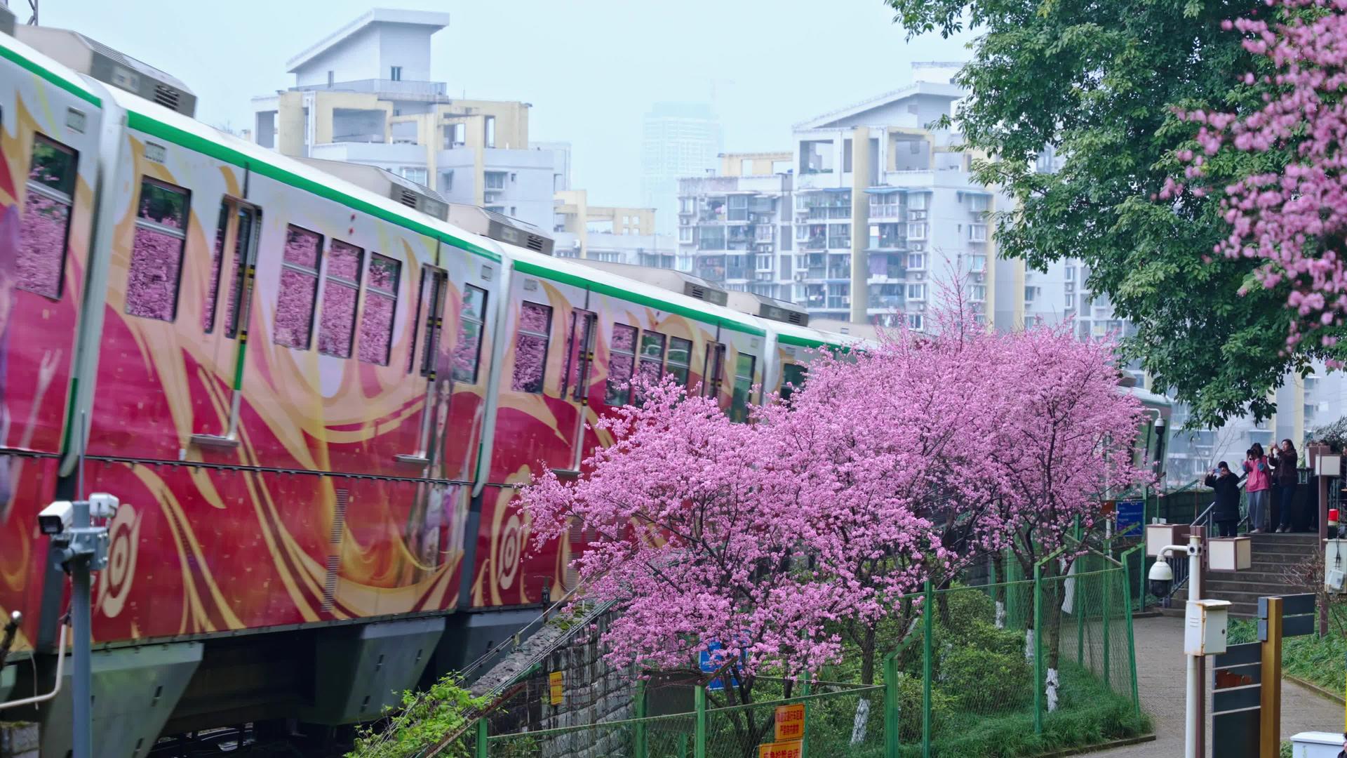 4k重庆网红打卡地开往春季火车视频的预览图