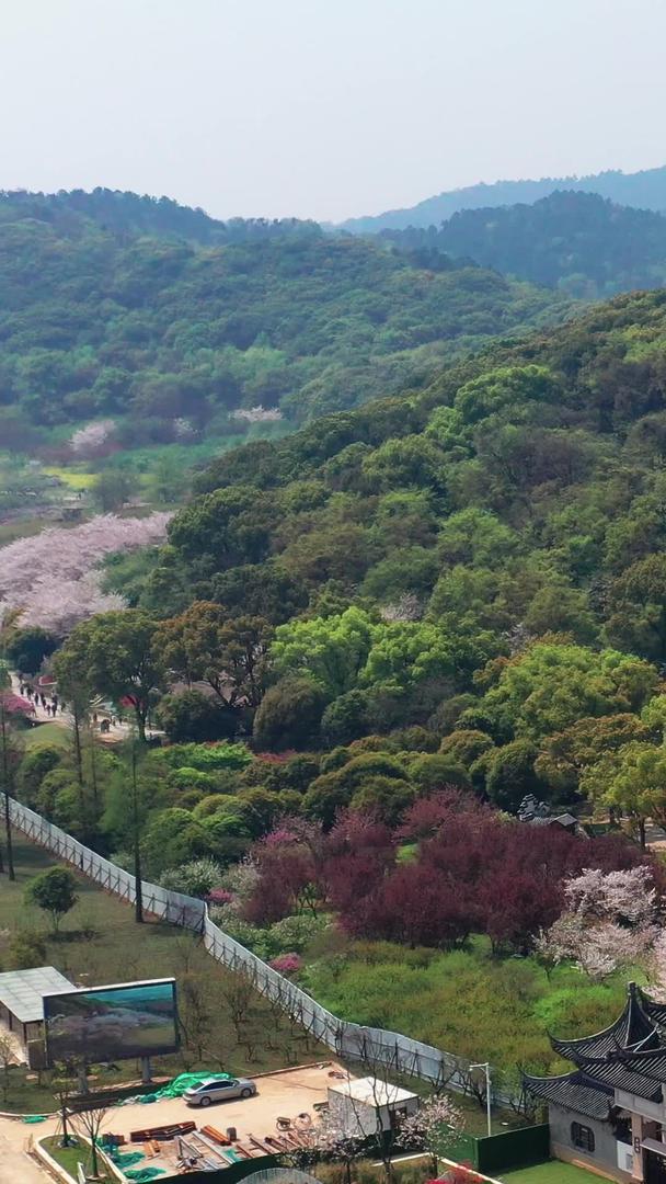 苏州上山森林公园百花节航拍视频的预览图