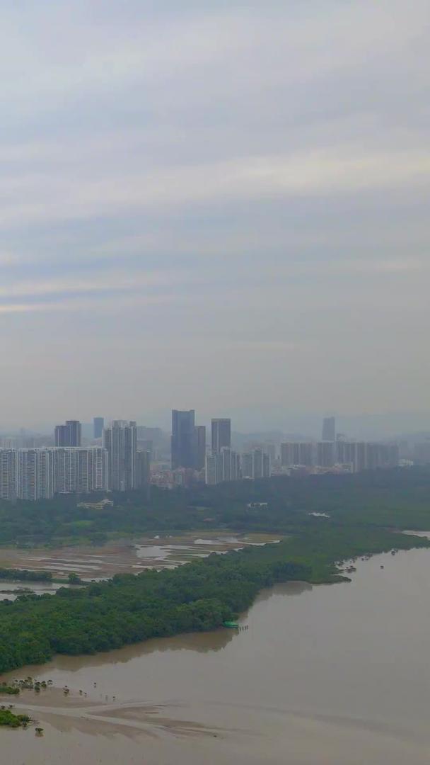CBD全景深圳城市视频的预览图