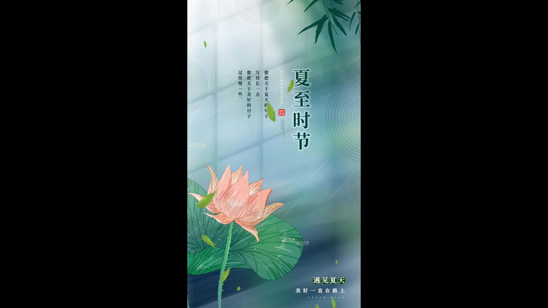 夏至荷花意境竖版视频海报视频的预览图