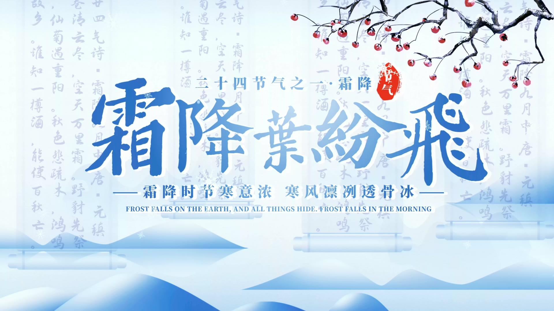 简洁清新霜降节气片头展示AE模板视频的预览图