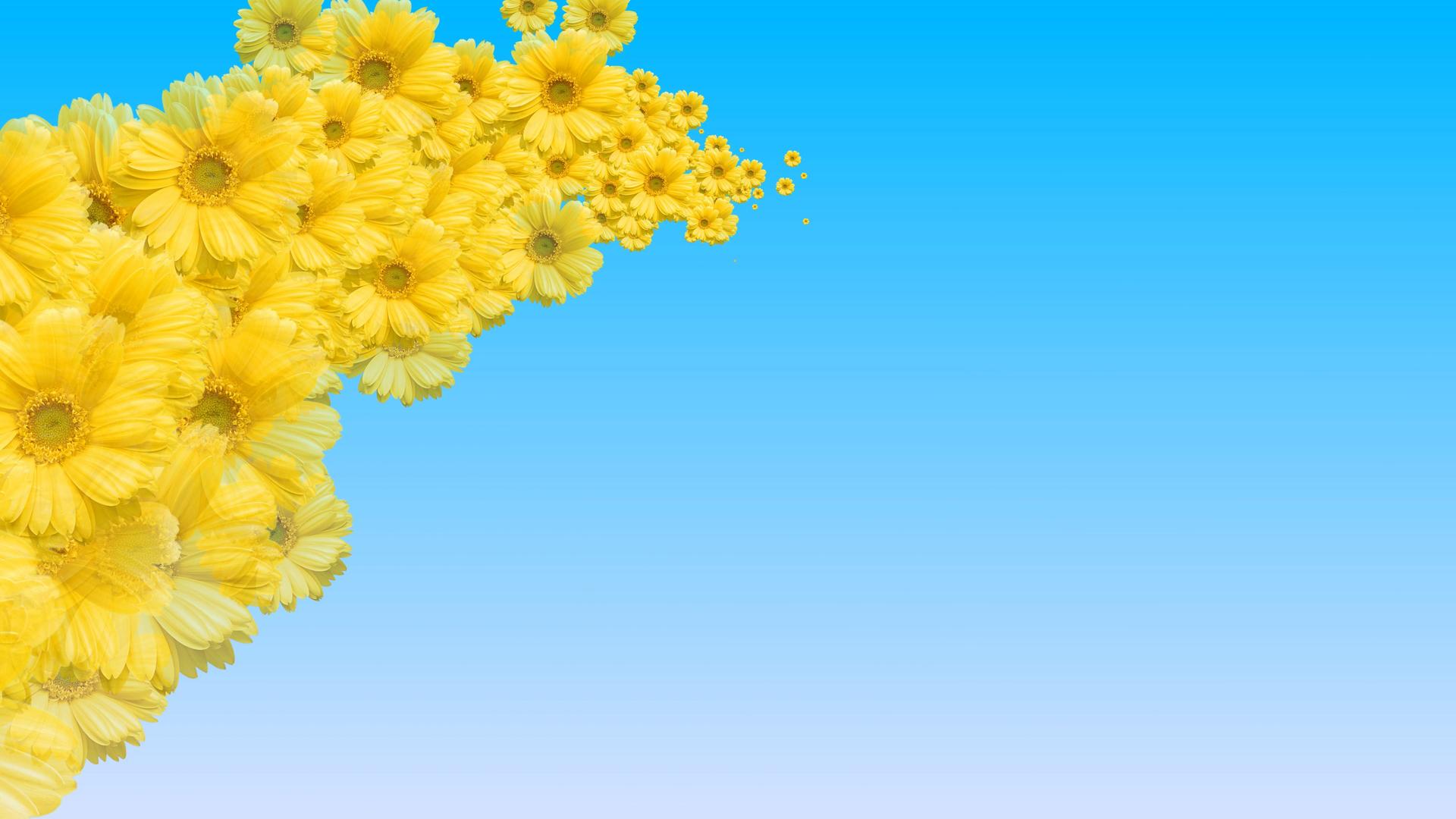 旋转的黄色花朵视频的预览图