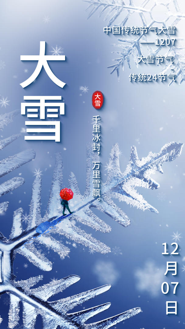 简约大雪传统节气视频海报视频的预览图