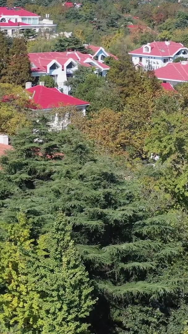 青岛八大关别墅群秋季风景视频的预览图