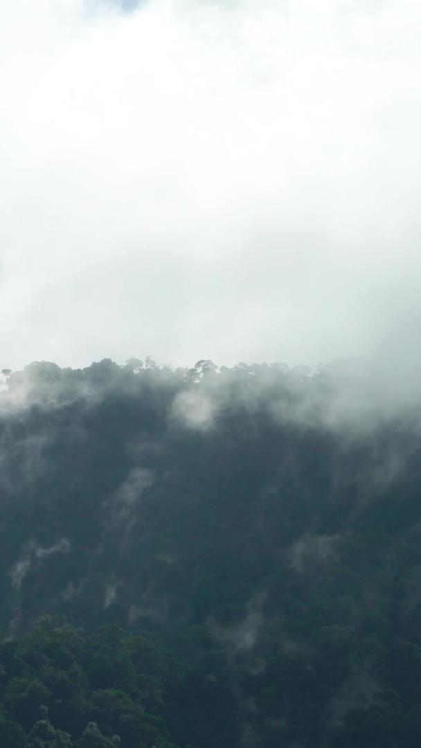 山林中的云雾萦绕着延时集合视频的预览图