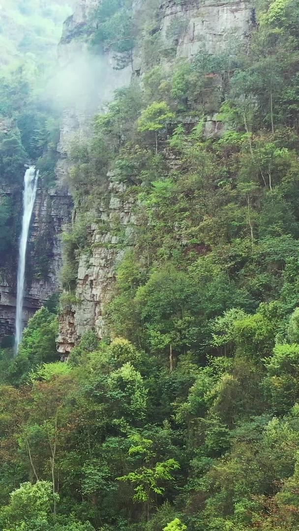 贵州深山野生瀑布视频的预览图