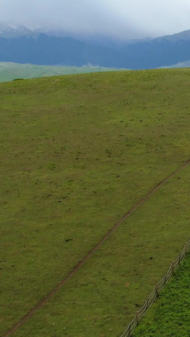 在喀拉峻大草原上航拍5A景区游乐项目草原彩虹滑梯视频的预览图
