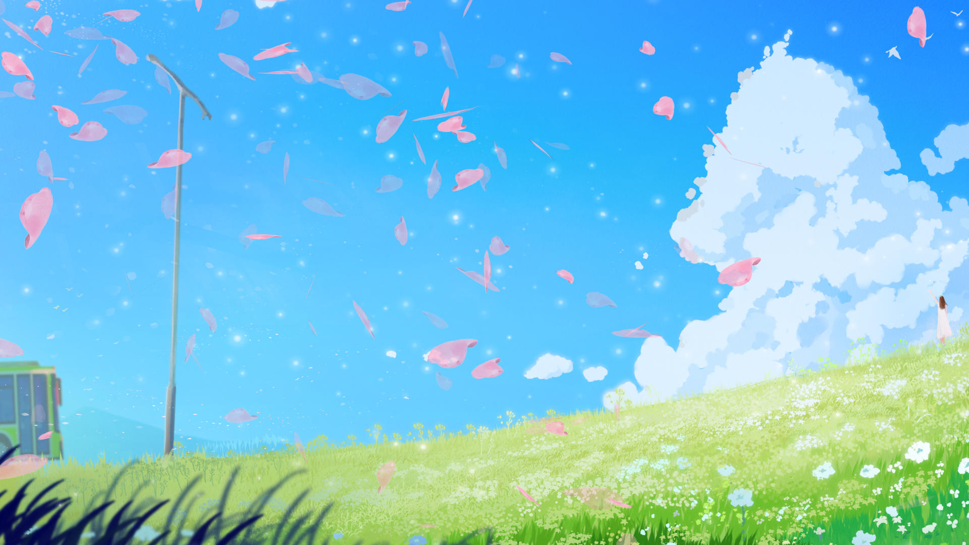 春季小清新花瓣蓝天白云动态背景视频视频视频的预览图