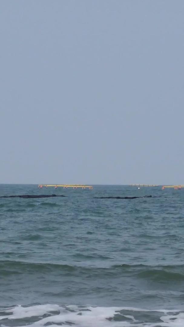 渔船在风浪中行驶视频的预览图