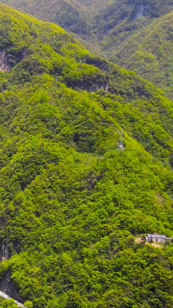神农架神农架森林自然航拍视频的预览图