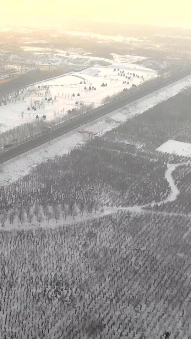 哈尔滨地标鸭绿江大桥冬季航拍视频的预览图
