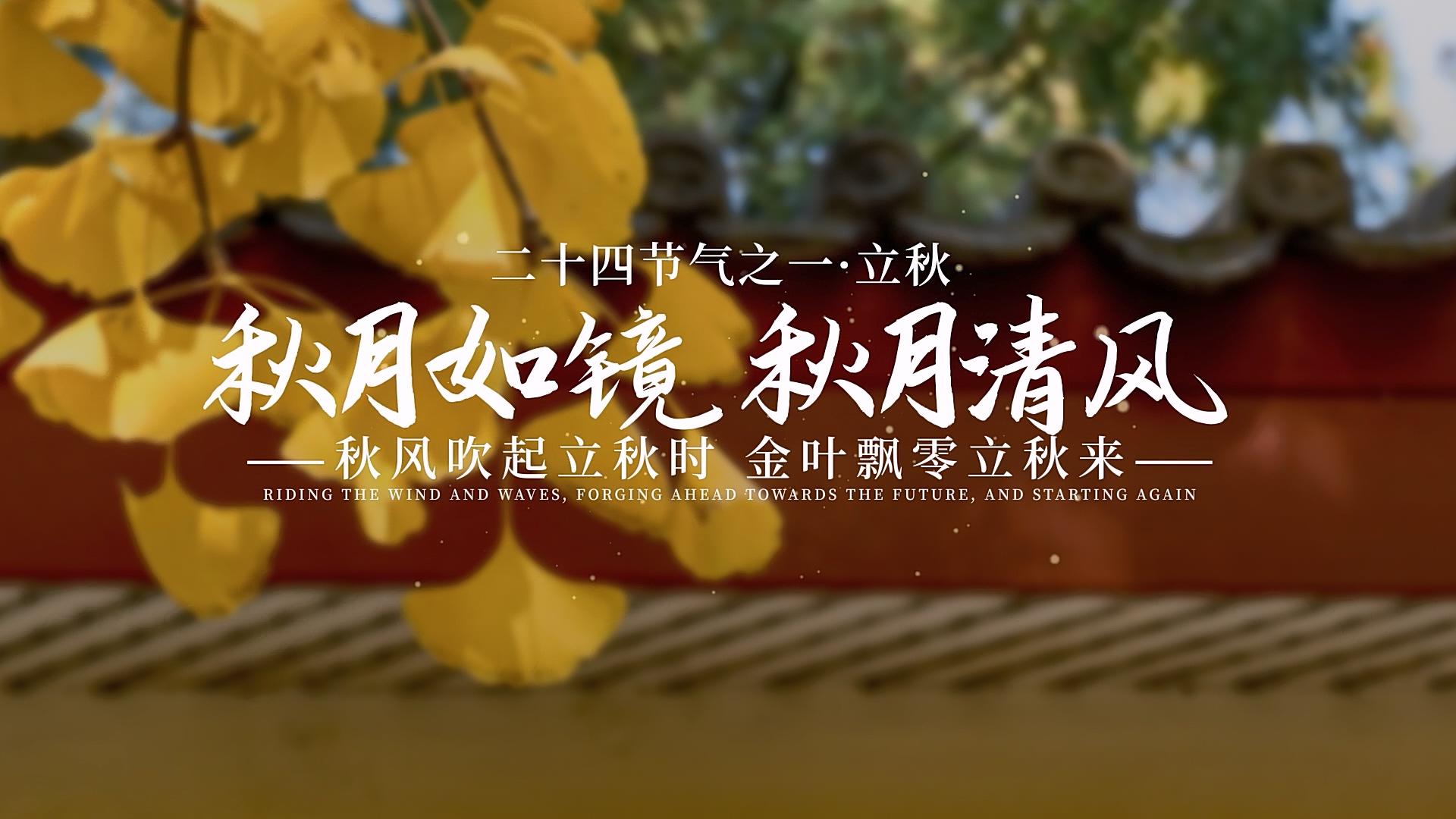 简洁立秋分屏显示AE模板视频的预览图