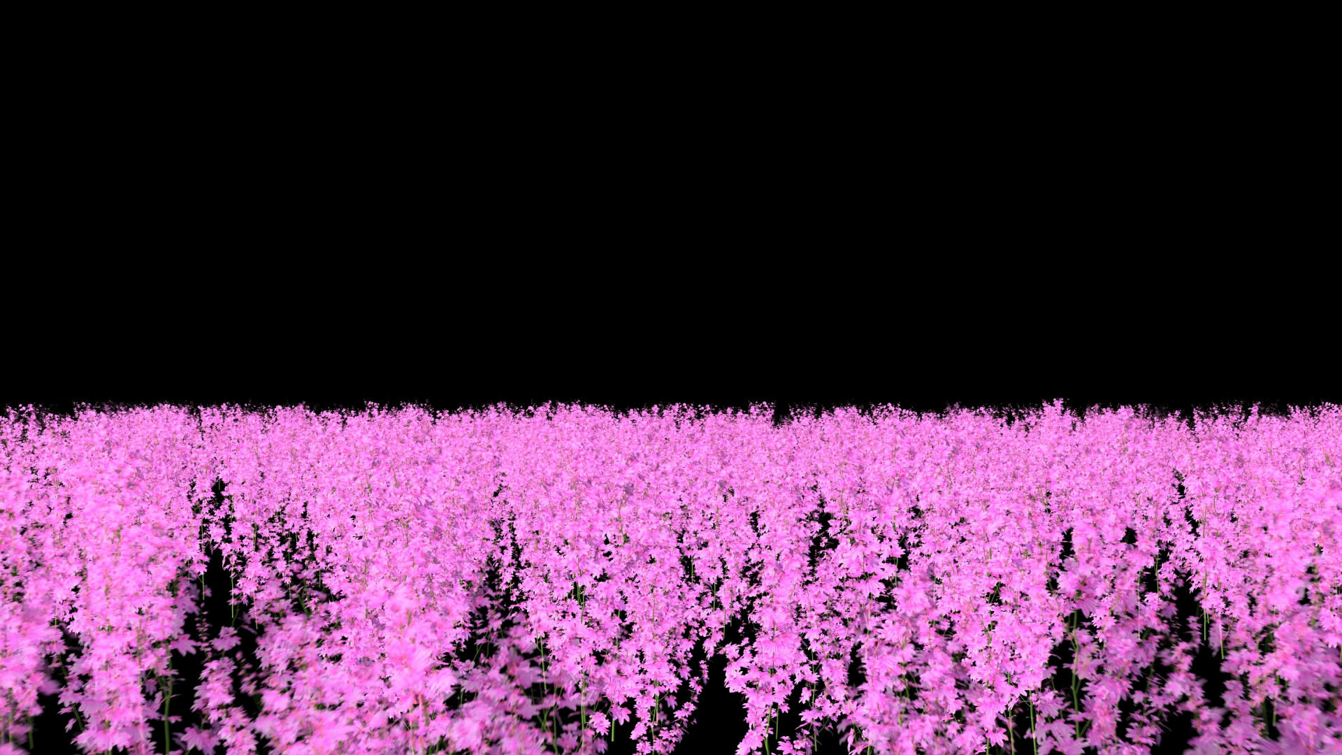 透明通道桃花树林穿梭视频素材视频的预览图