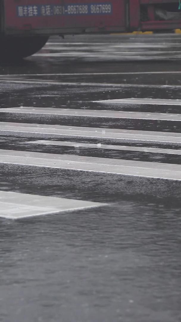 在雨天拍摄路口斑马线集合视频的预览图