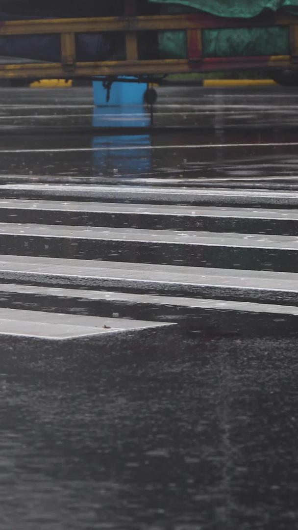 在雨天拍摄路口斑马线集合视频的预览图