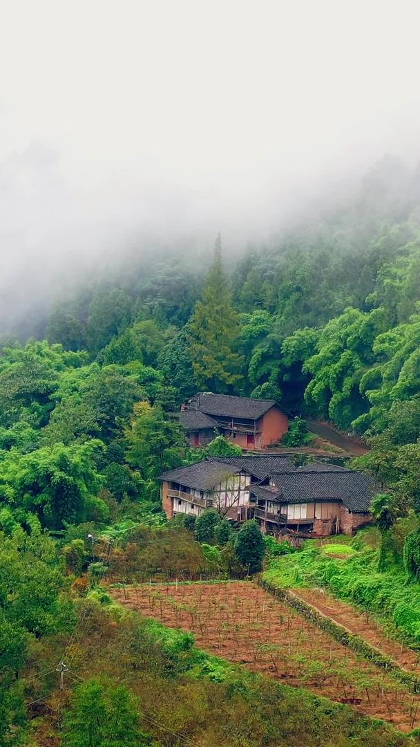 在四川大山中实拍传统古村落土木混合青瓦房视频的预览图
