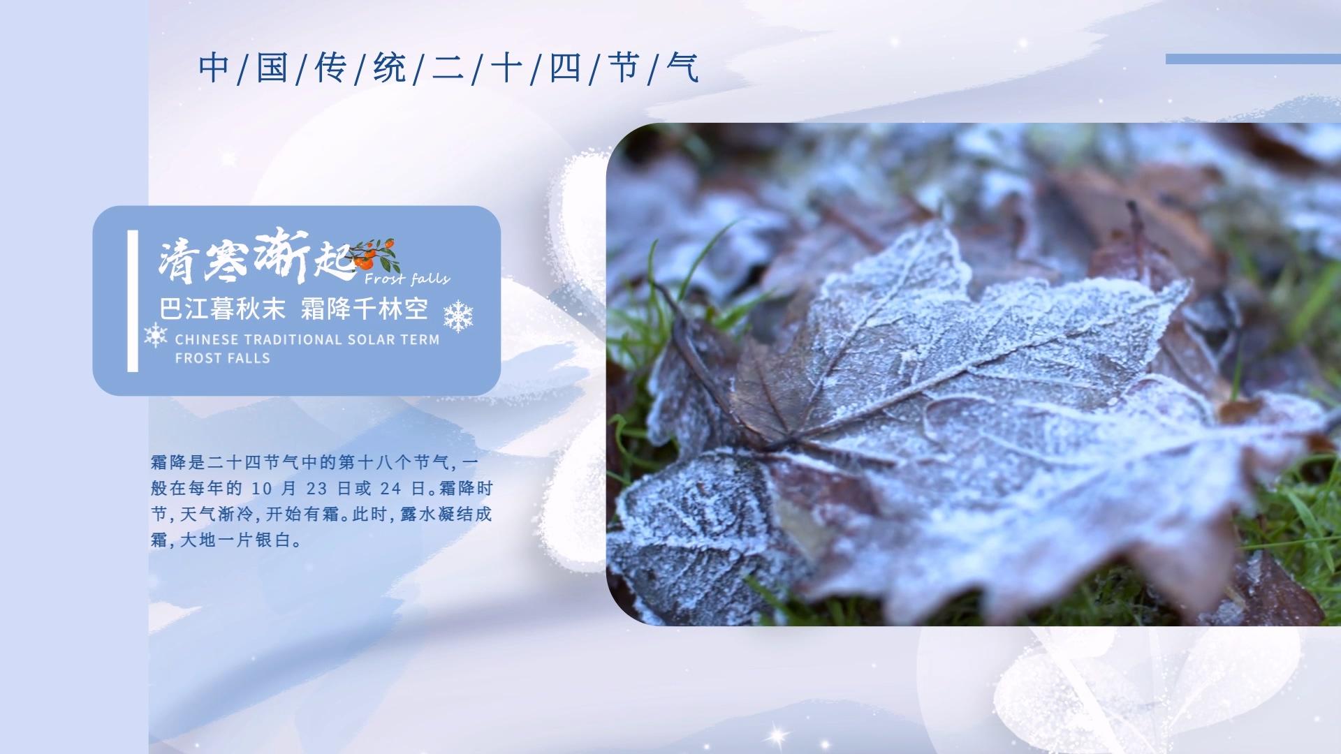 美丽简洁霜降图展示AE模板视频的预览图