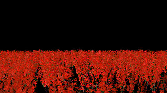 透明通道唯美的梅花林穿梭视频素材视频的预览图