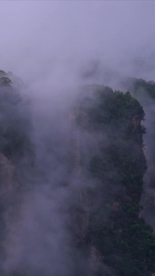 张家界武陵源景区天梯航拍视频的预览图