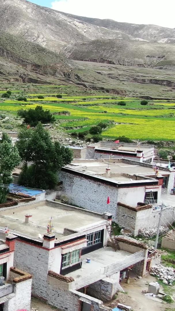 西藏式村庄航拍视频视频的预览图