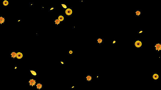菊花飘落通道素材视频的预览图