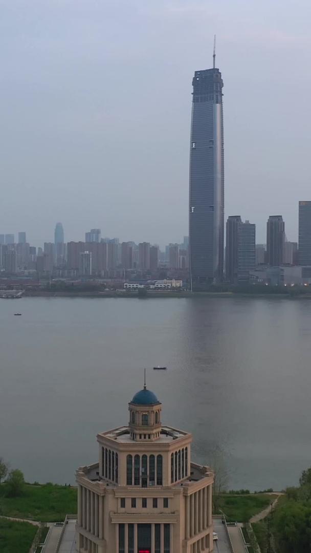武汉地标江滩公园航拍风景城市抗洪救灾纪念馆教育素材视频的预览图