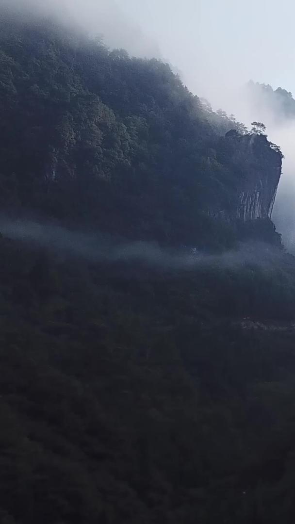 雾山原始森林大山航拍视频的预览图