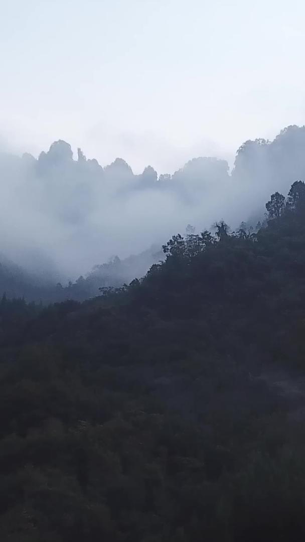 雾山原始森林大山航拍视频的预览图