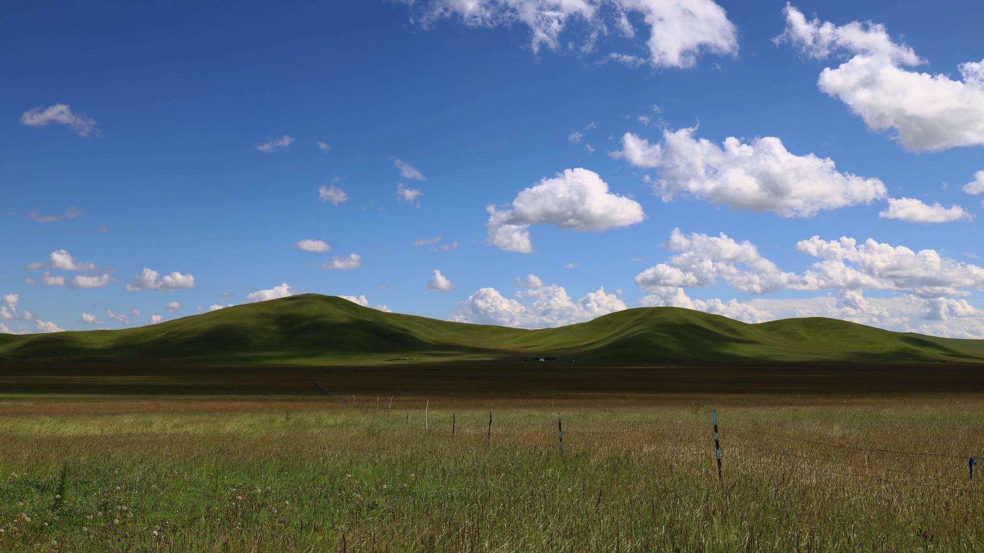 天然草原牧场蓝天白云延时视频视频的预览图