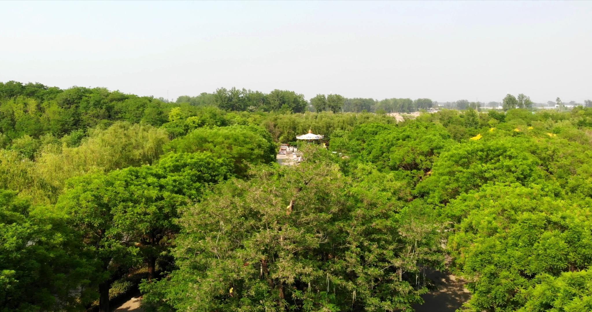 4K航拍中华槐园风景区全景视频的预览图