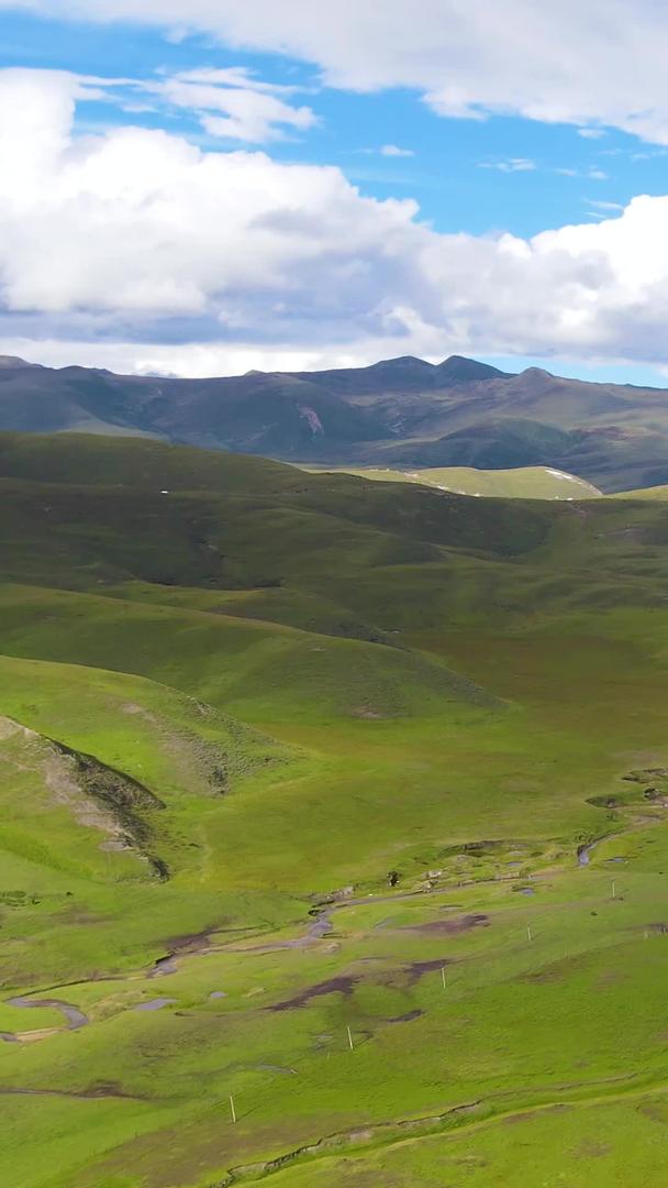 甘孜塔公草原航拍自然风光视频的预览图