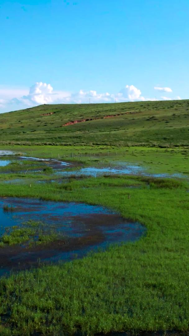 5k航拍蓝天下碧绿的草原上蜿蜒的河流九曲十八湾视频的预览图
