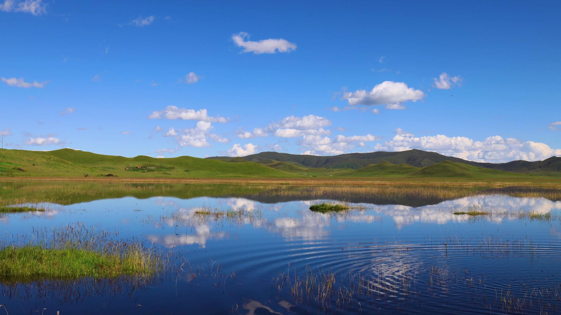 阿坝羌族自治州若尔盖花湖生态旅游景区延时视频视频的预览图