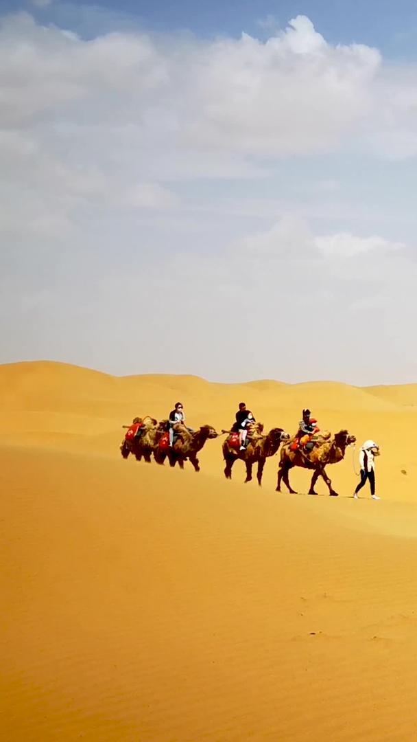 在荒芜沙漠中蓝天白云下行驶的骆驼队视频的预览图