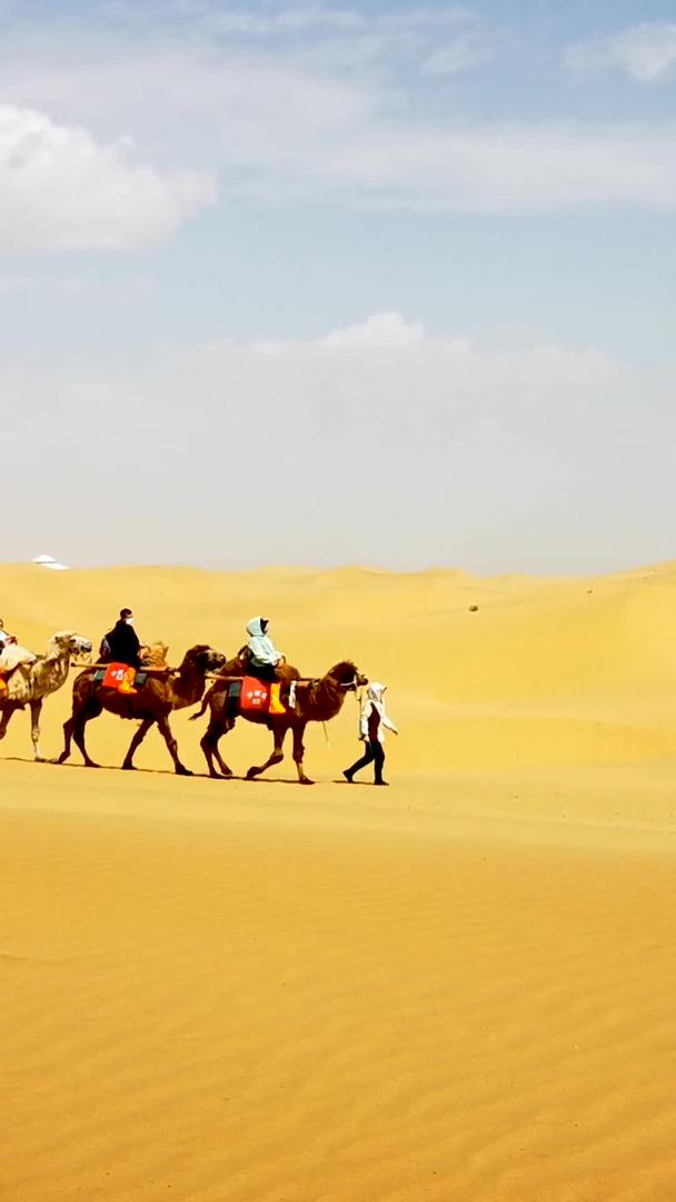 在荒芜沙漠中蓝天白云下行驶的骆驼队视频的预览图