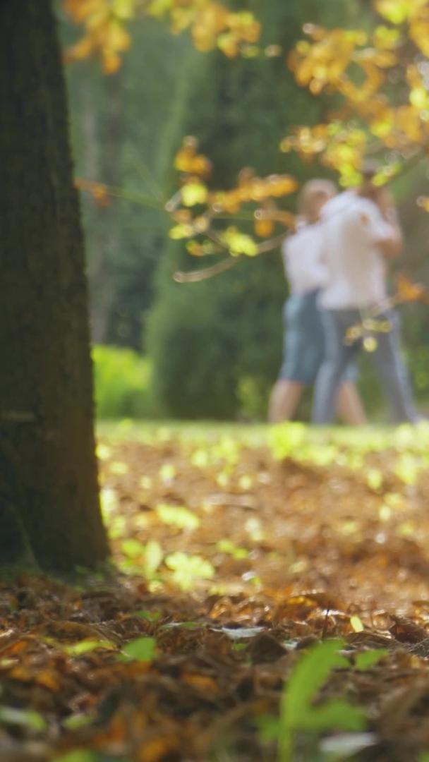 秋季公园散步的情侣低角度拍摄视频的预览图