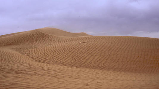 大风刮起干旱沙漠的沙子随风便散延时视频的预览图
